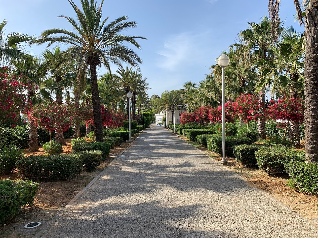  Tunis, Ain-Zaghouan Arabic - Tunisia 1